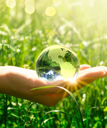 רווח כפול: תיק ההשקעות שלך יכול לתרום גם לסביבה